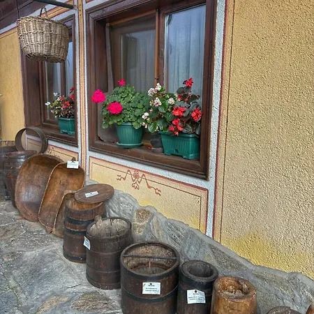 Guest Colorit Guest house 3*