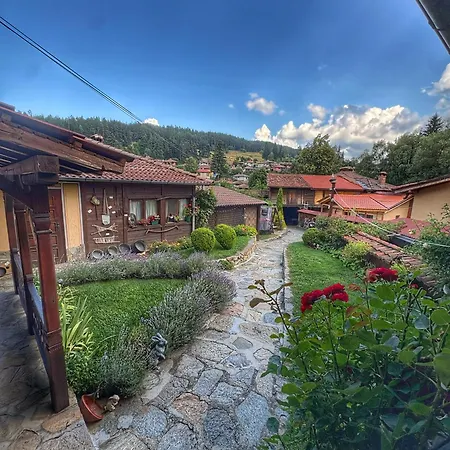 Guest Colorit Guest house 3*